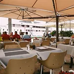 Tragos Lemon Tree