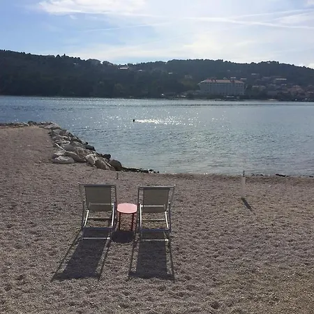 Tragos Lemon Tree Trogir