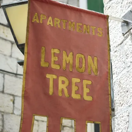 Tragos Lemon Tree