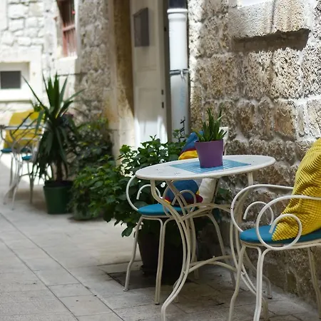 Daire Tragos Lemon Tree