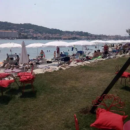 트라고스 레몬 트리