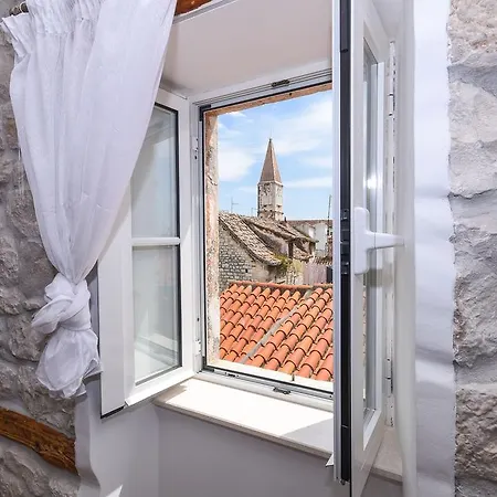 트라고스 레몬 트리